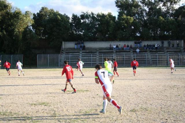 CARONIA - PARNASSIUS (286).jpg