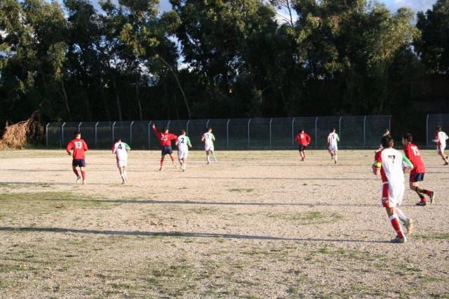 CARONIA - PARNASSIUS (287).jpg