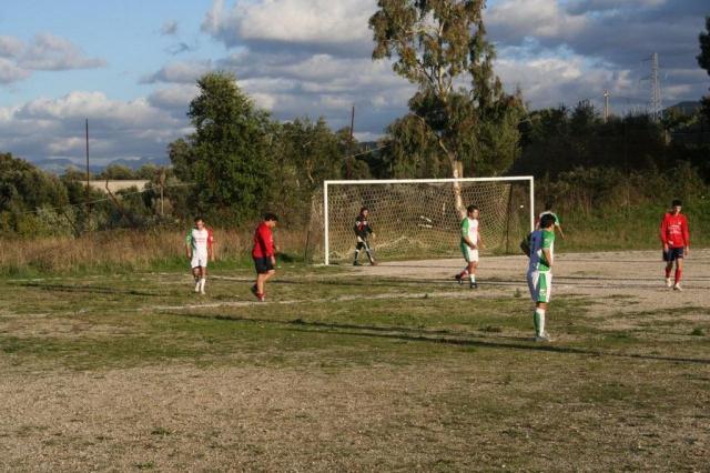 CARONIA - PARNASSIUS (289).jpg