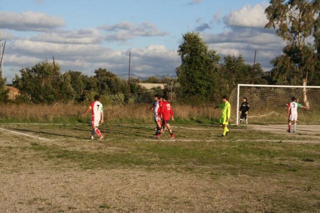 CARONIA - PARNASSIUS (291).jpg