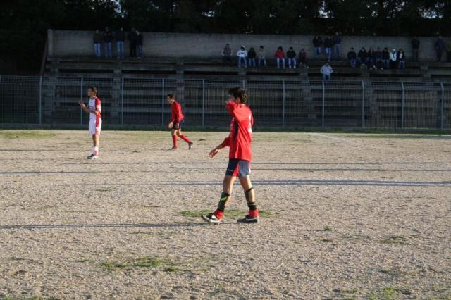 CARONIA - PARNASSIUS (296).jpg