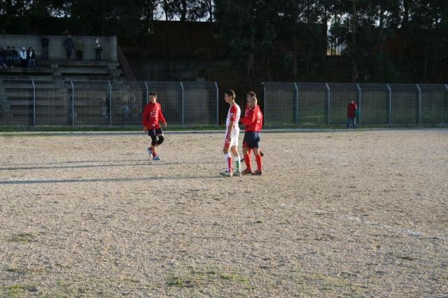 CARONIA - PARNASSIUS (297).jpg