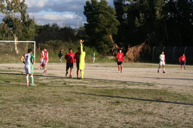 CARONIA - PARNASSIUS (301).jpg