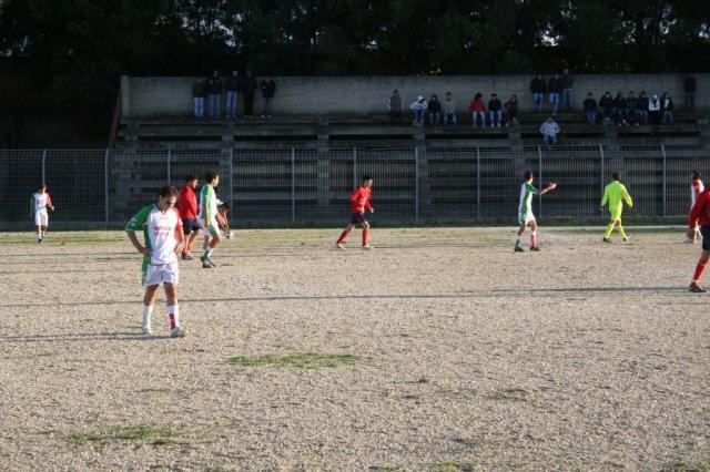 CARONIA - PARNASSIUS (302).jpg