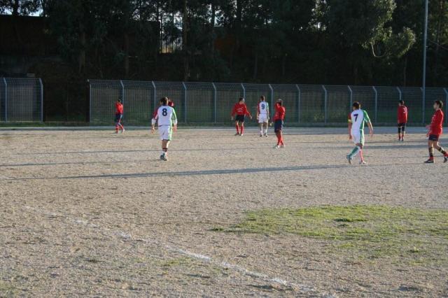 CARONIA - PARNASSIUS (304).jpg