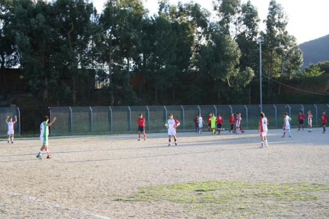 CARONIA - PARNASSIUS (305).jpg