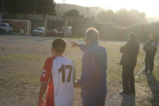 CARONIA - PARNASSIUS (307).jpg