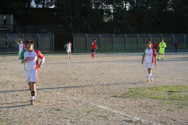 CARONIA - PARNASSIUS (308).jpg