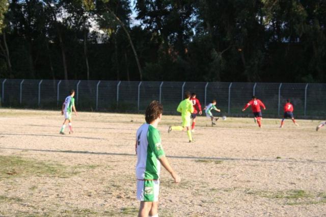 CARONIA - PARNASSIUS (314).jpg