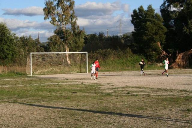 CARONIA - PARNASSIUS (315).jpg