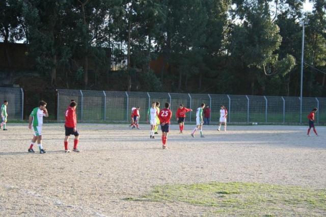 CARONIA - PARNASSIUS (317).jpg