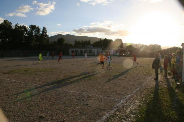 CARONIA - PARNASSIUS (318).jpg