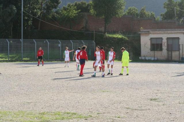 CARONIA - PARNASSIUS (32).jpg