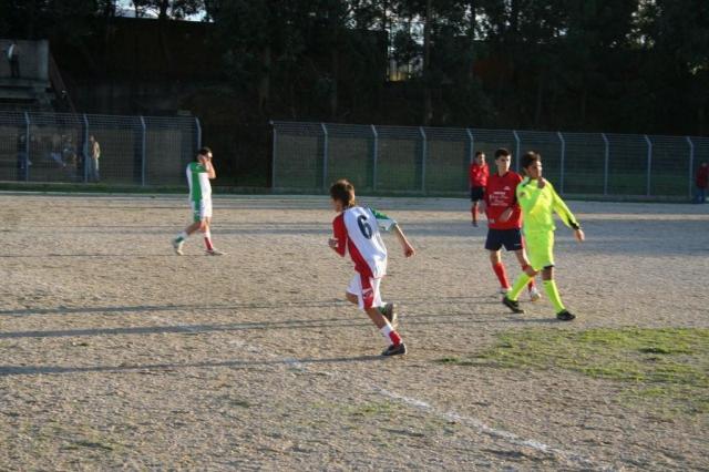 CARONIA - PARNASSIUS (321).jpg