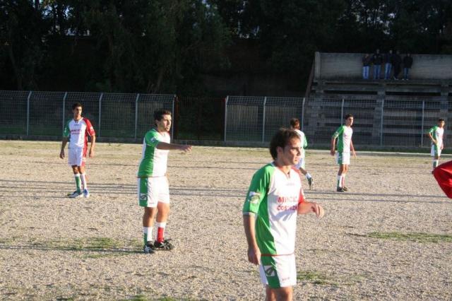 CARONIA - PARNASSIUS (323).jpg