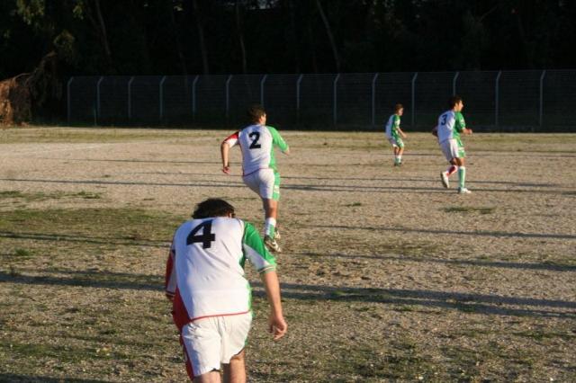 CARONIA - PARNASSIUS (326).jpg