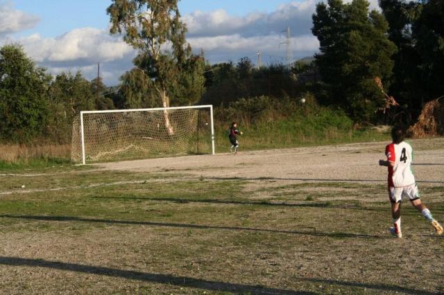 CARONIA - PARNASSIUS (327).jpg