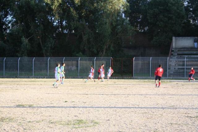 CARONIA - PARNASSIUS (331).jpg