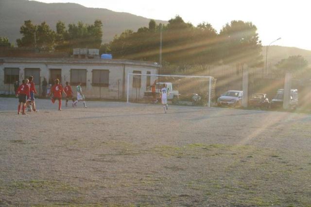 CARONIA - PARNASSIUS (341).jpg