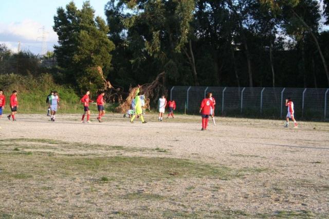 CARONIA - PARNASSIUS (346).jpg