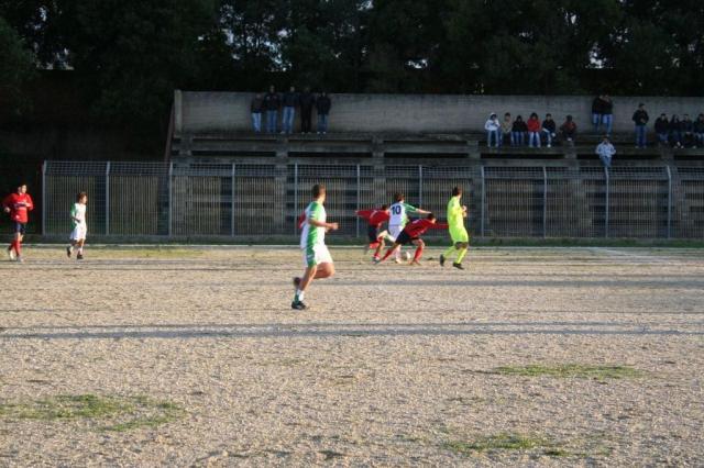 CARONIA - PARNASSIUS (350).jpg