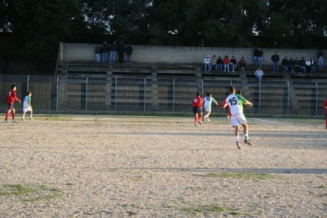 CARONIA - PARNASSIUS (351).jpg