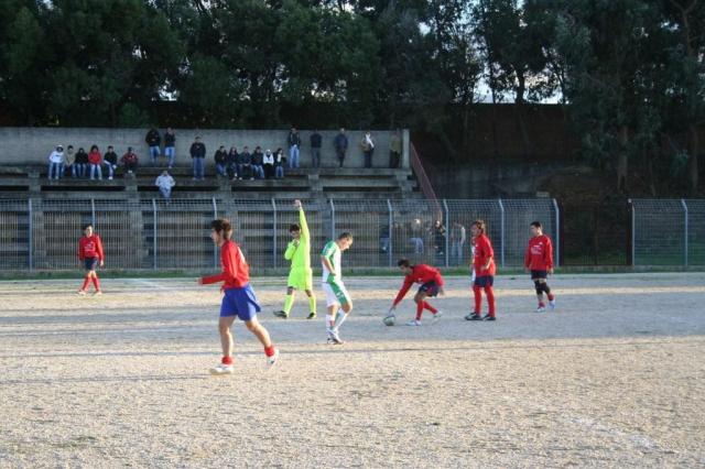 CARONIA - PARNASSIUS (352).jpg