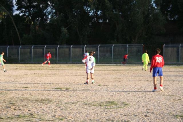 CARONIA - PARNASSIUS (353).jpg