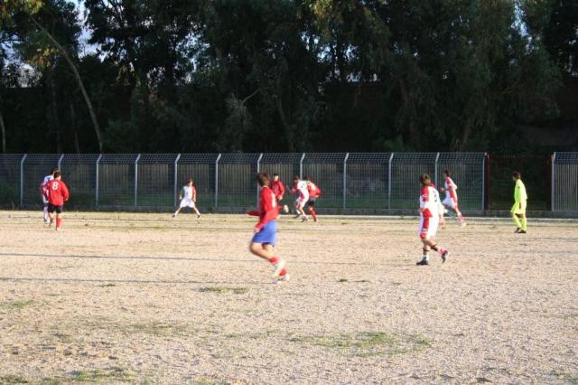 CARONIA - PARNASSIUS (354).jpg