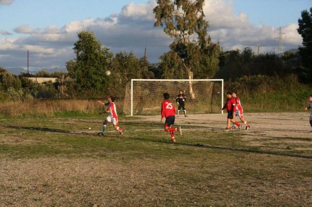 CARONIA - PARNASSIUS (355).jpg