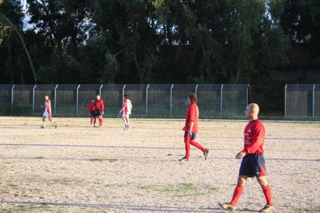 CARONIA - PARNASSIUS (358).jpg