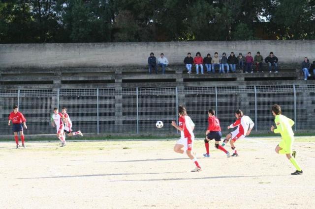 CARONIA - PARNASSIUS (36).jpg