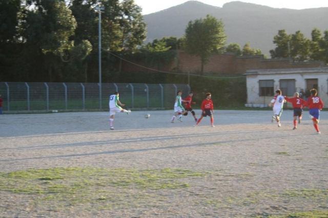 CARONIA - PARNASSIUS (365).jpg