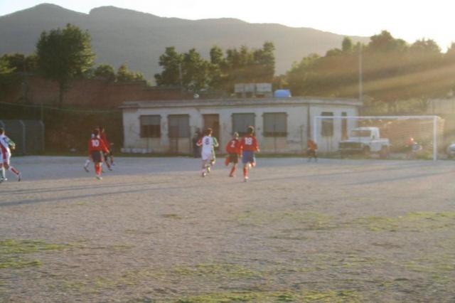 CARONIA - PARNASSIUS (367).jpg