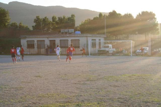 CARONIA - PARNASSIUS (368).jpg