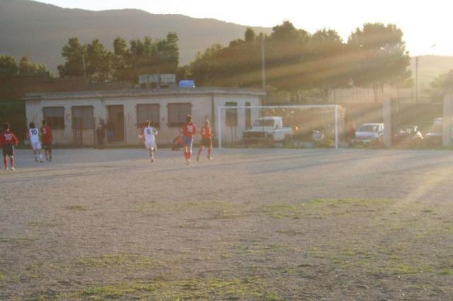 CARONIA - PARNASSIUS (370).jpg