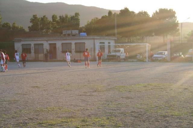 CARONIA - PARNASSIUS (371).jpg