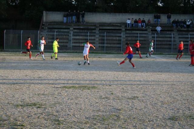 CARONIA - PARNASSIUS (372).jpg