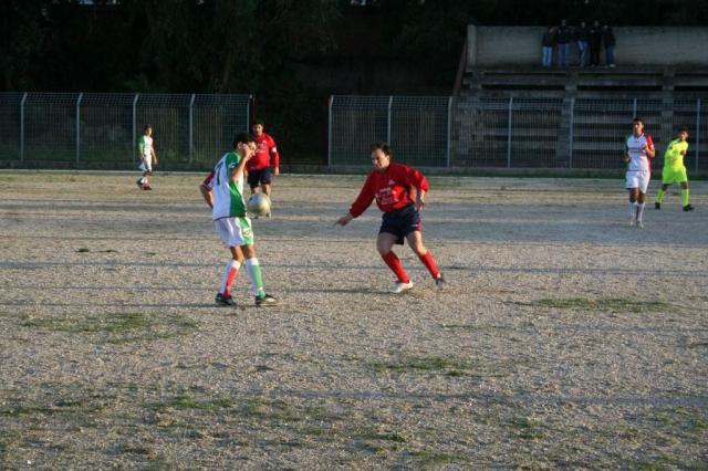 CARONIA - PARNASSIUS (374).jpg