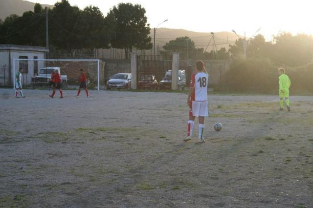 CARONIA - PARNASSIUS (378).jpg