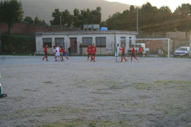 CARONIA - PARNASSIUS (379).jpg