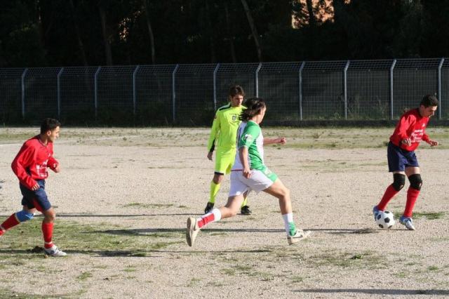 CARONIA - PARNASSIUS (38).jpg