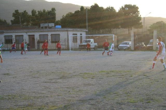 CARONIA - PARNASSIUS (381).jpg