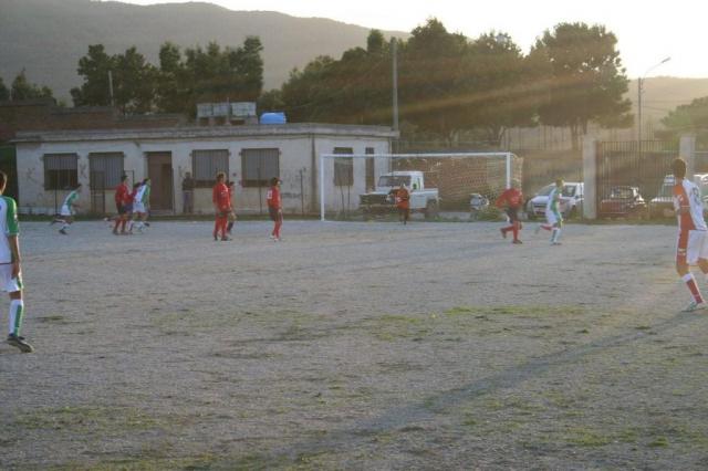 CARONIA - PARNASSIUS (382).jpg