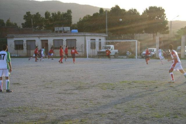 CARONIA - PARNASSIUS (383).jpg