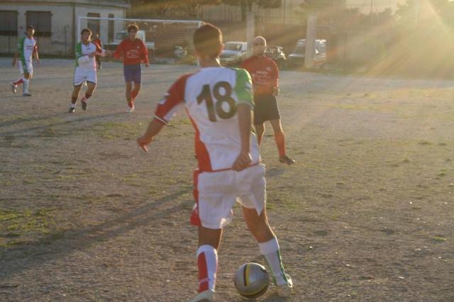 CARONIA - PARNASSIUS (385).jpg