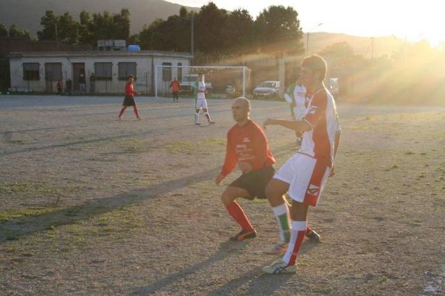 CARONIA - PARNASSIUS (386).jpg