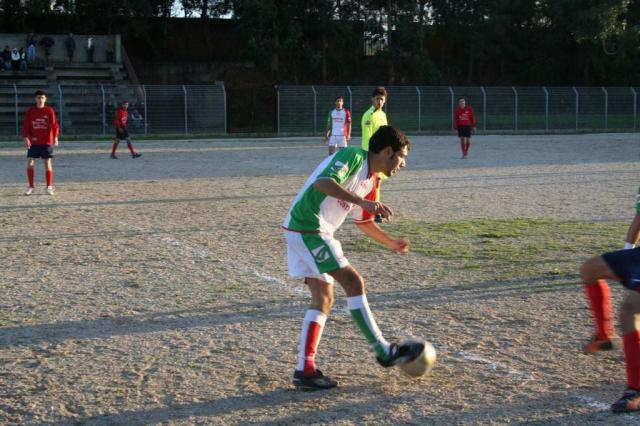 CARONIA - PARNASSIUS (387).jpg