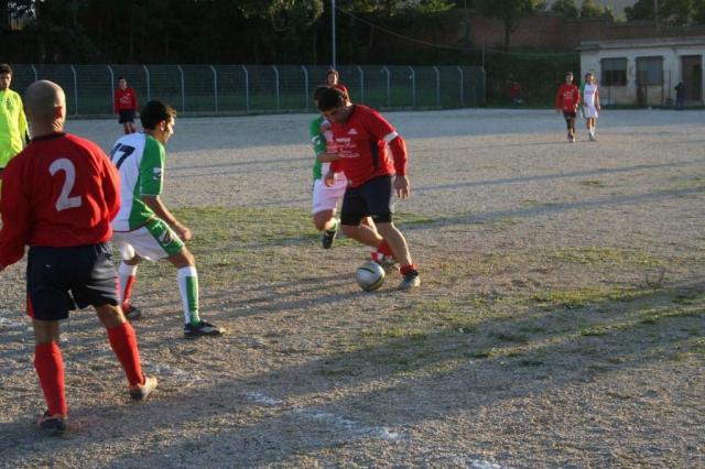 CARONIA - PARNASSIUS (388).jpg