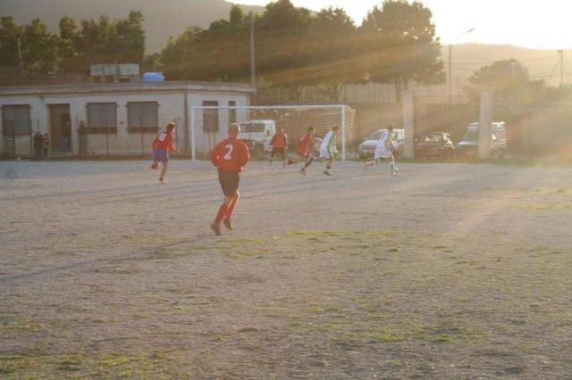 CARONIA - PARNASSIUS (391).jpg